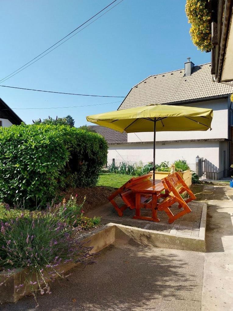Apartma Jana Zirovnica Extérieur photo